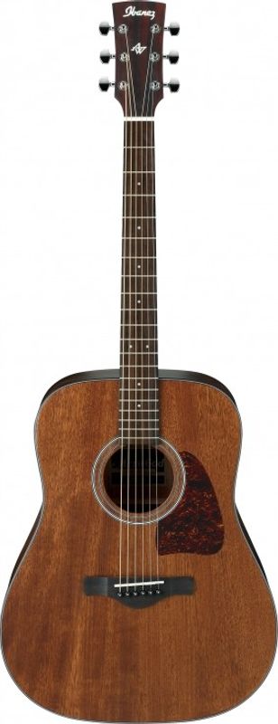 Ibanez AW54 Natur