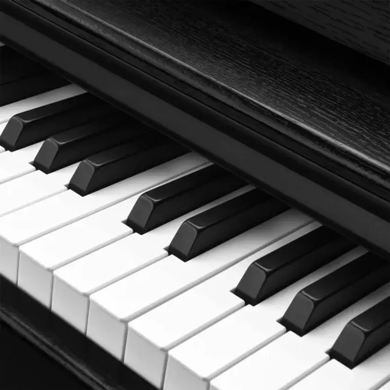 Donner DDP-100 digitalpiano svart matt