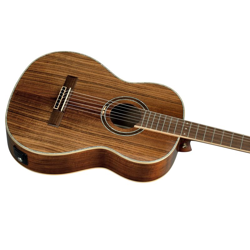 Ortega RE30TH-ACA Nylonstr. gitar m.mik, 30th Anniversary