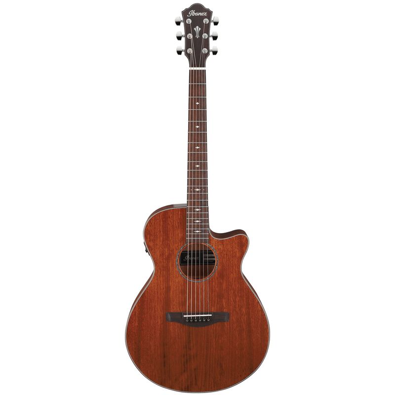 Ibanez AEG220-LGS Ibanez western m.mik