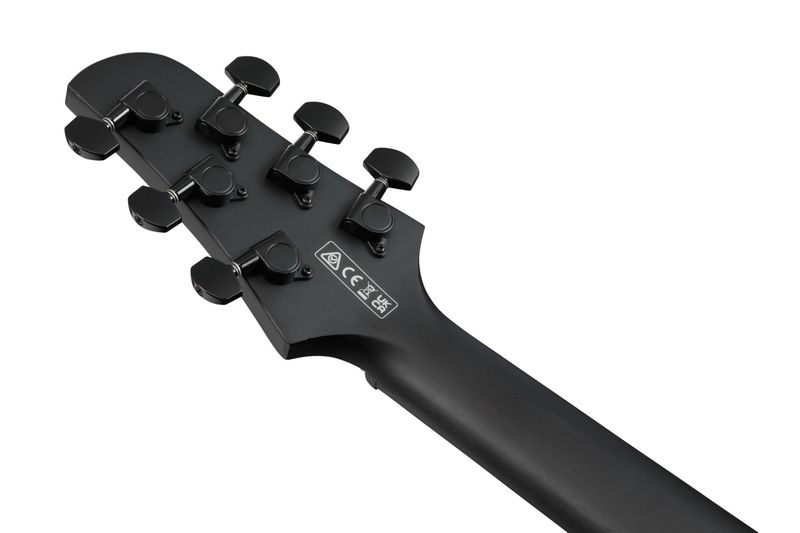 Ibanez TCY621-BOT Western gitar med mik.