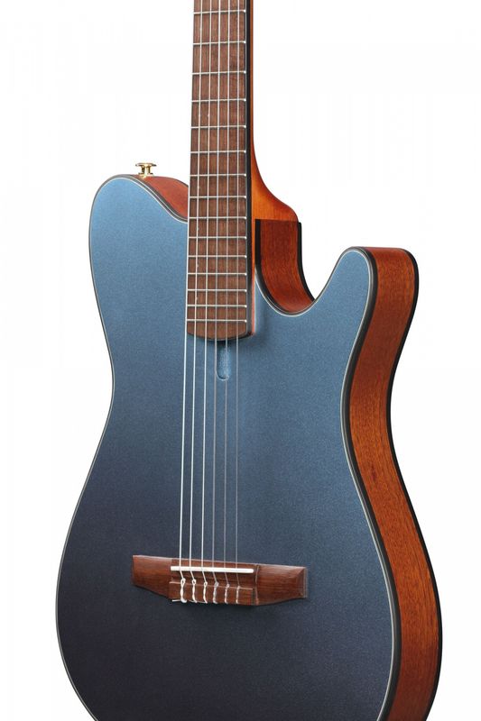 Ibanez FRH10N-IBF Nylonsträngad m.mik, Thin body