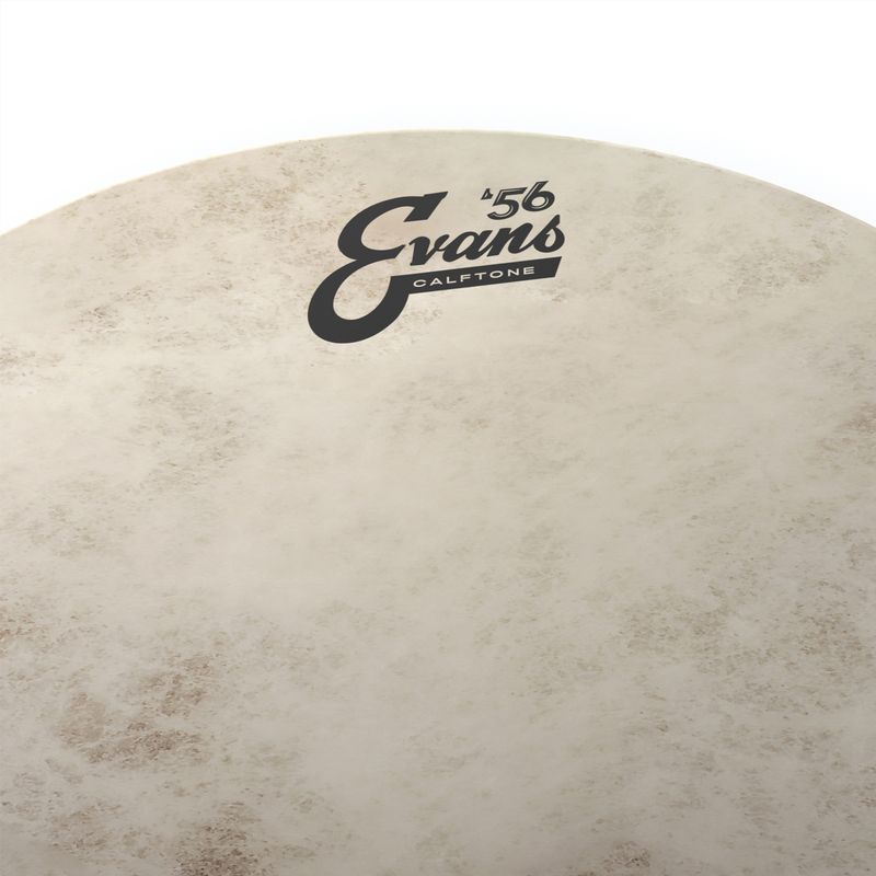 Evans TT12C7 12'' Pukskinn Calftone