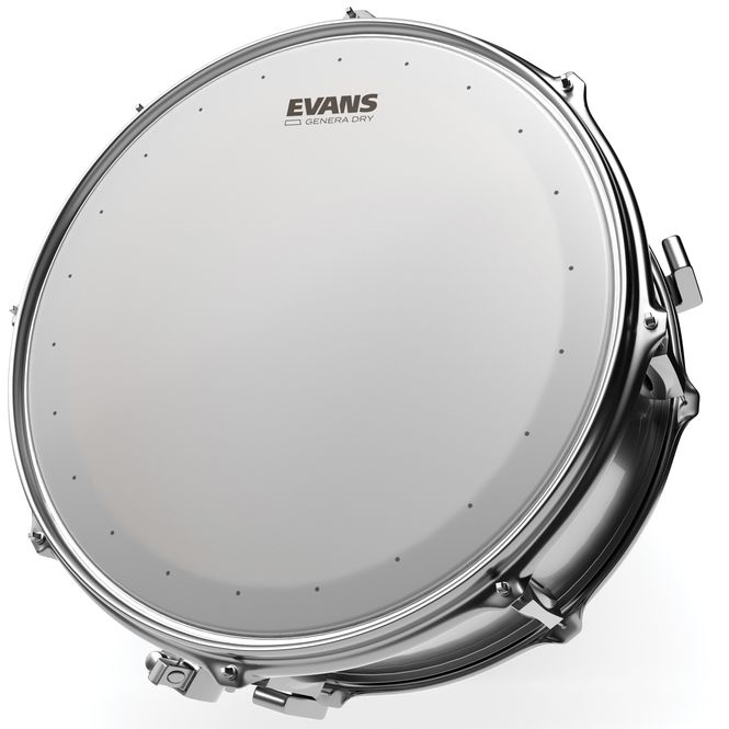 Hovedbilde Evans B13DRY 13'' Virvelskinn Genera Dry
