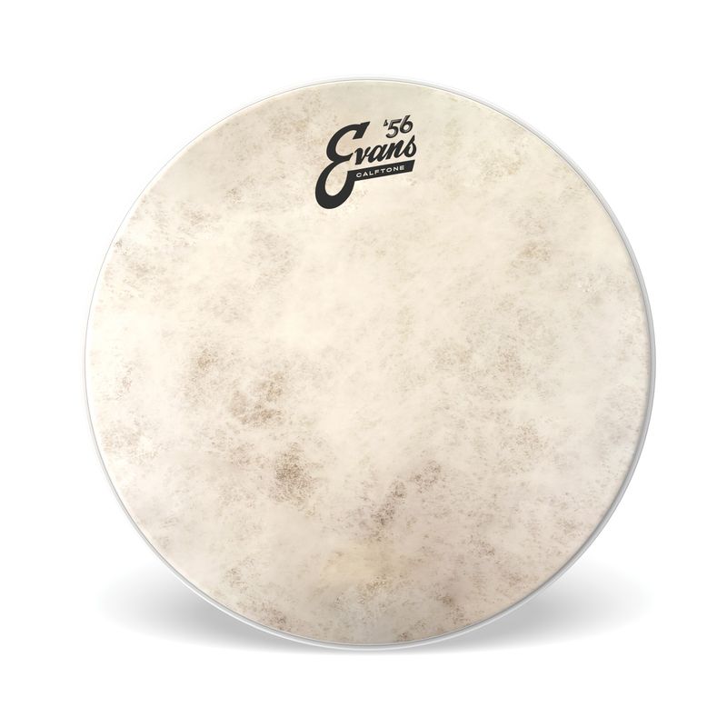 Evans TT13C7 13'' Pukskinn Calftone