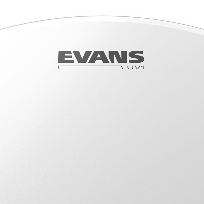 Evans BD16UV1 16'' Bastrumskinn UV1 Batter Coated