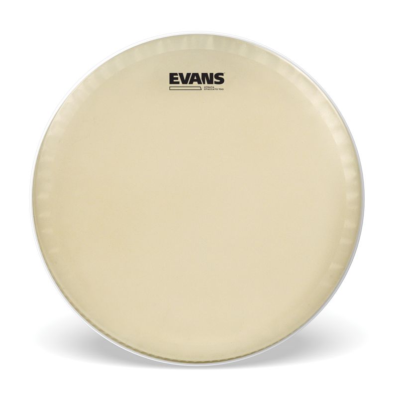 Evans CS14SS Strata Head Staccato 14''