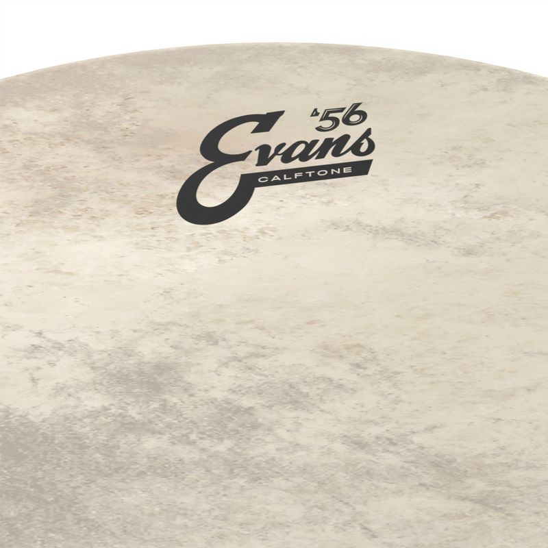 Evans BD26CT 26'' Bastrumskinn Calftone