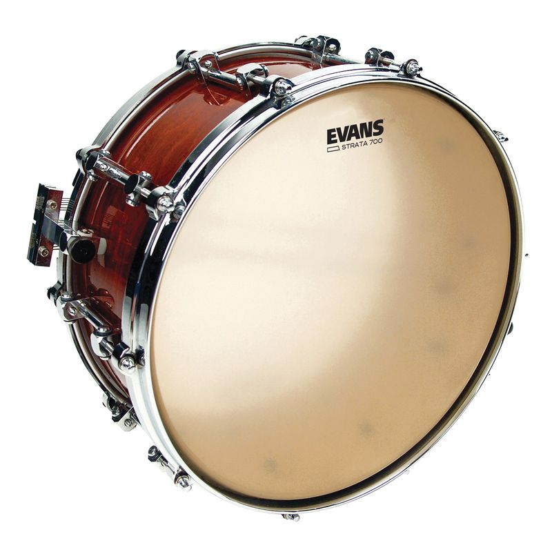 Evans CS14S Strata Head 14''