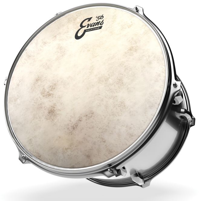 Hovedbilde Evans TT12C7 12'' Pukskinn Calftone