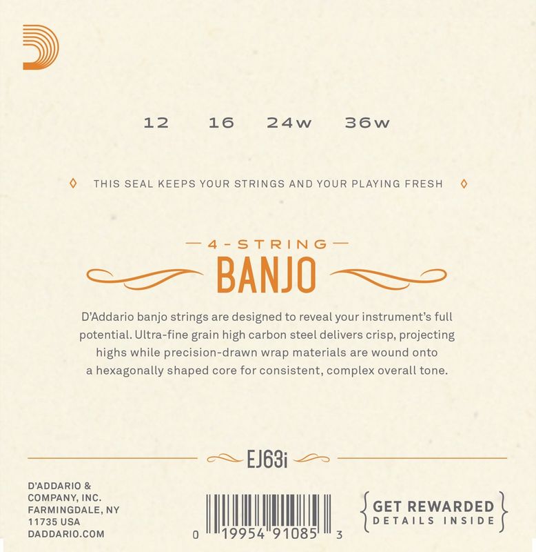 D'Addario EJ63I Strängset Irish Tenor Banjo Nickel 012-036
