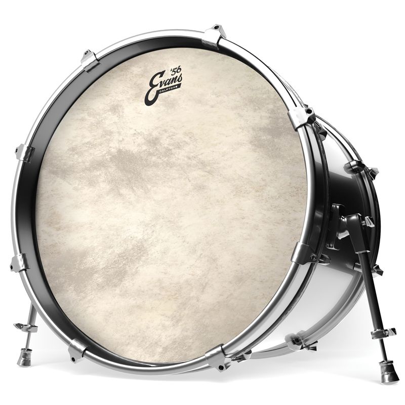 Evans BD26CT 26'' Bastrumskinn Calftone