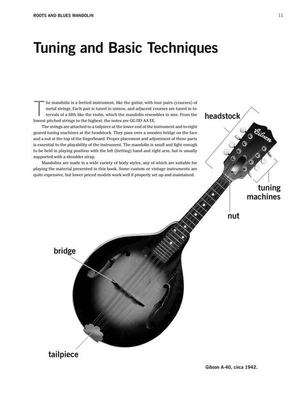 Roots and Blues Mandolin