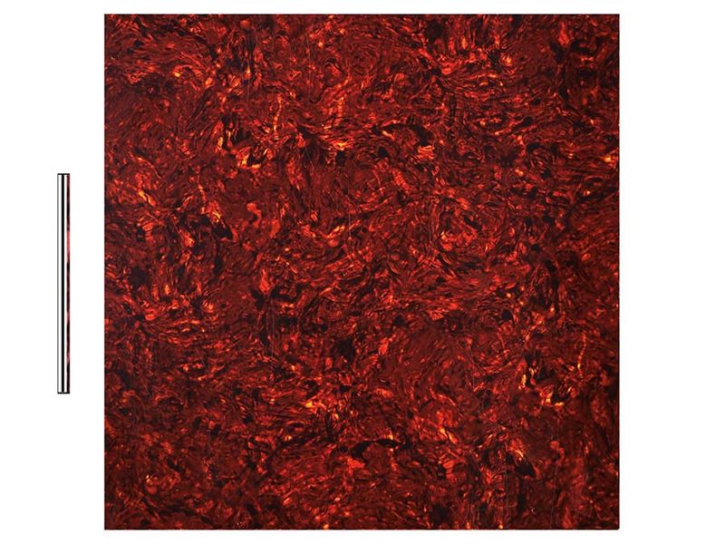 Boston PG-433-TI Pickguard Material 30x29 - Tortoise Intense