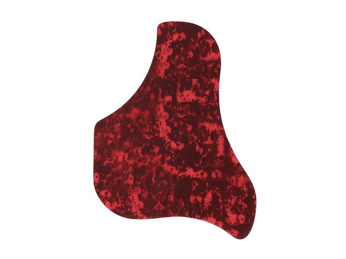 Sire A3 Series Larry Carlton Acoustic Grand Auditorium Guitar with SIB electronics and cutaway - Natural