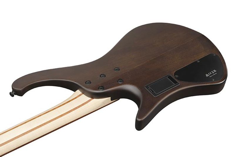 Ibanez EHB600-WNF Elbass, Headless 4-string