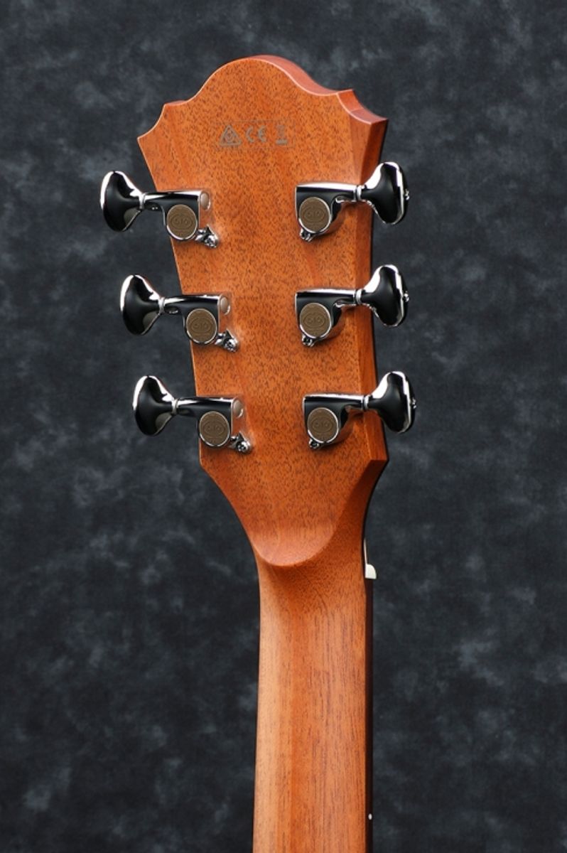 Ibanez AE900-NT Western gitar m/mik, Prestige med case