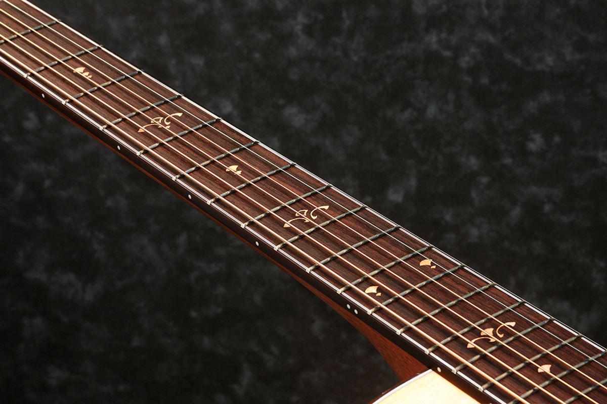 Ibanez AE900-NT Western gitar m/mik, Prestige med case