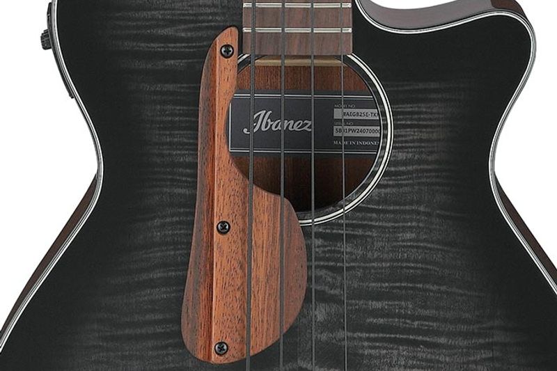 Ibanez AEGB25E-TKH Akustisk bass med mik