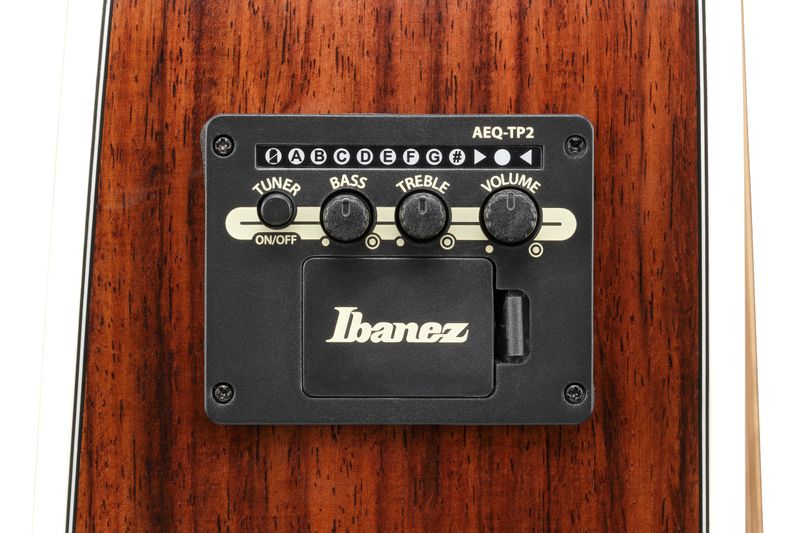 Ibanez AW391RCE-BKH Westerngitar m.mik