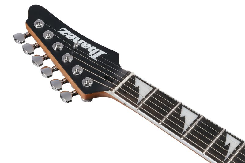 Ibanez BER10 Elgitar med gigbag,  Bernth Signatur