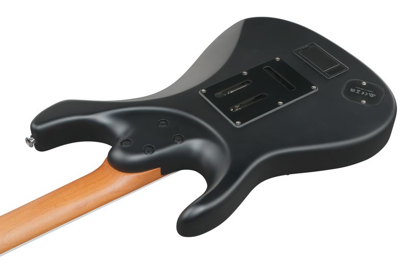 Ibanez BER10 Elgitar med gigbag,  Bernth Signatur