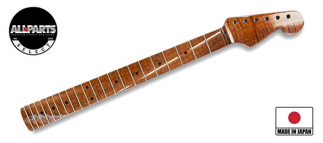 Hovedbilde Allparts Select ltd VIN-MOD replacement neck for ...