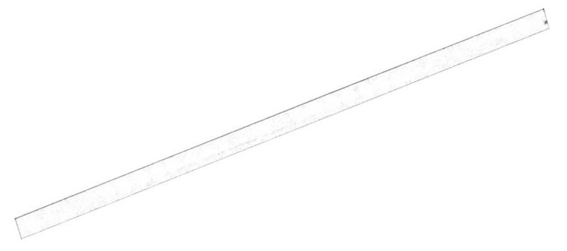 Allparts white side dot rods, 40 pcs.