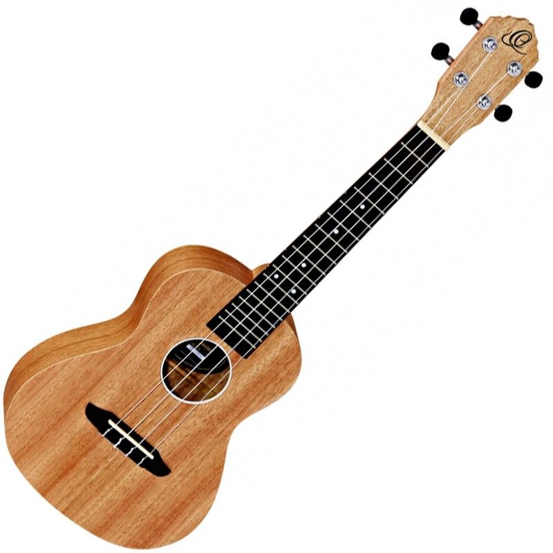 Ortega RFU11S Concert Ukulele m/bag