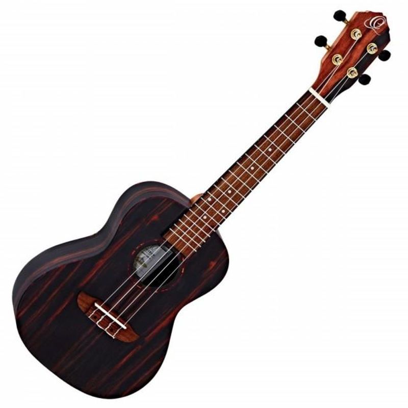 Ortega RUEB-CC Studentpakke