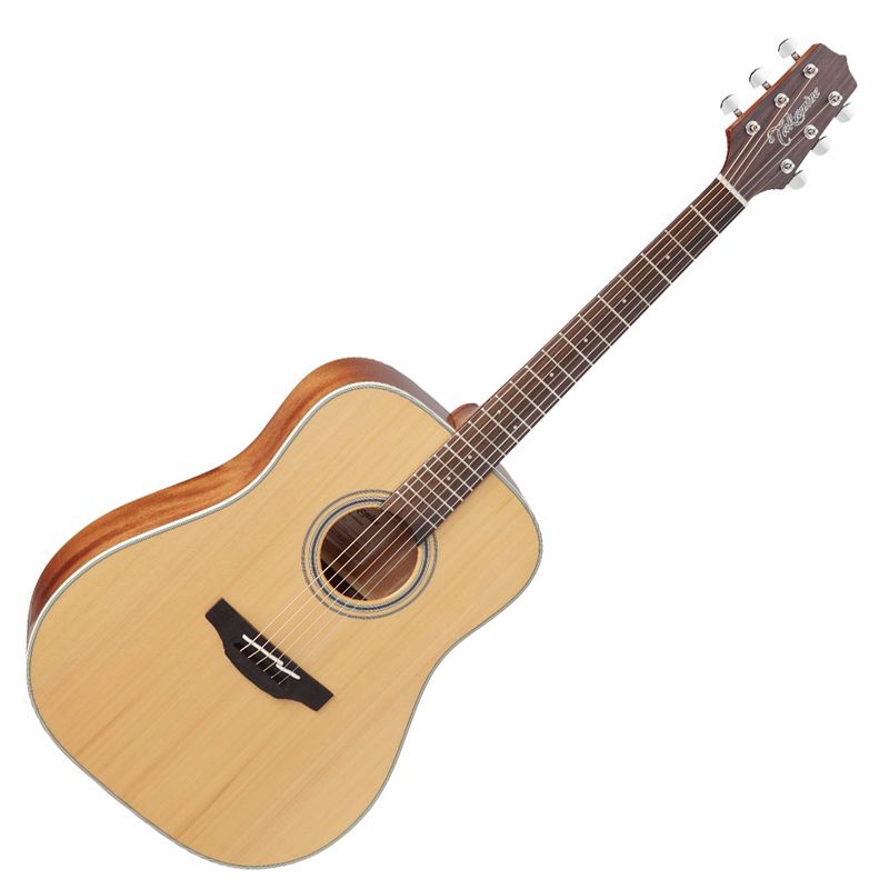 Takamine GD20-NS