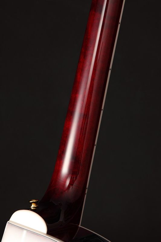 Takamine GN75CE Wine Red