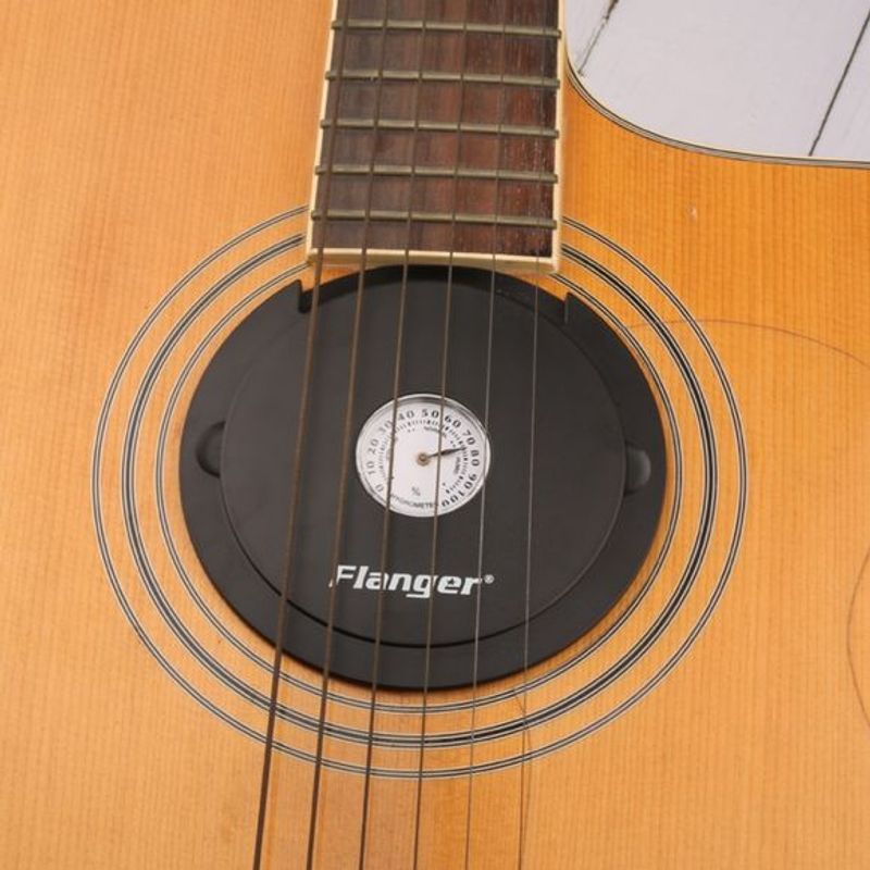 Flanger FH-10 guitar humidifier