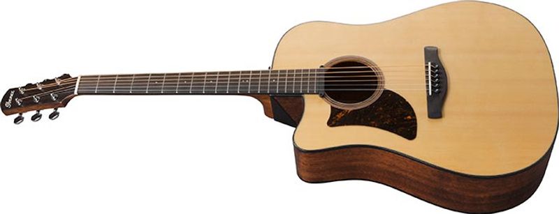 Ibanez AAD170LCE-LGS Natur Left