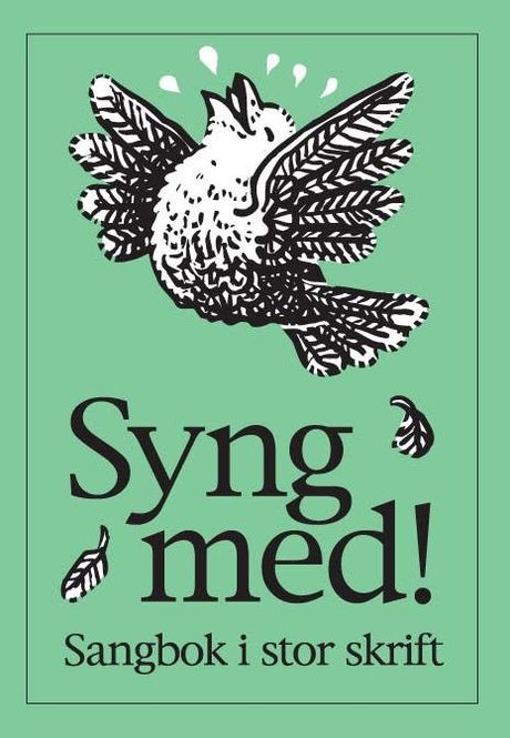 Hovedbilde Syng med Sangbok i Stor Skrift