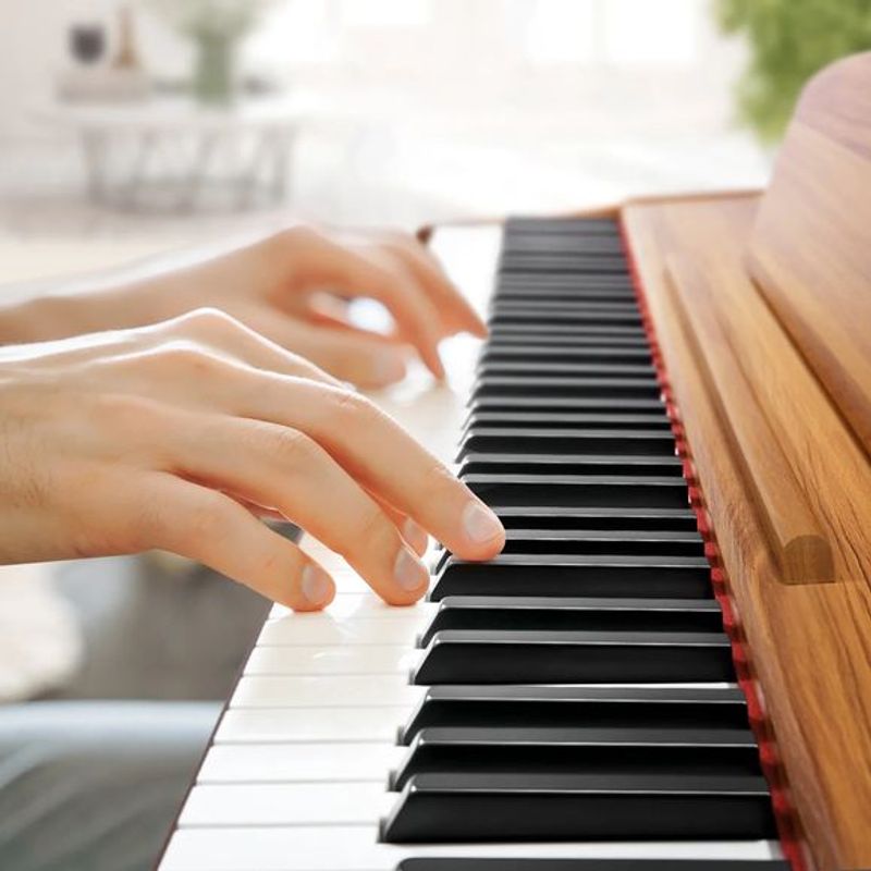 Donner DDP-80 el-piano wood 