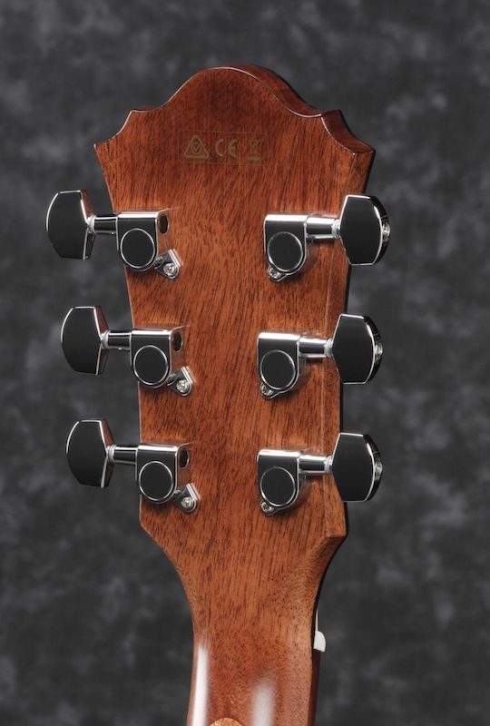 Ibanez AE295-LGS Low Gloss Finish