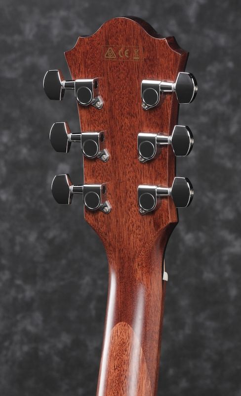 Ibanez AE275BT-LGS