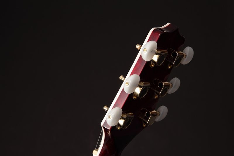 Takamine GN75CE Wine Red