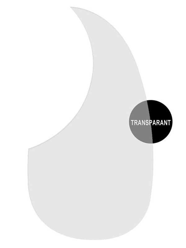 Boston AG-100-TR pickguard