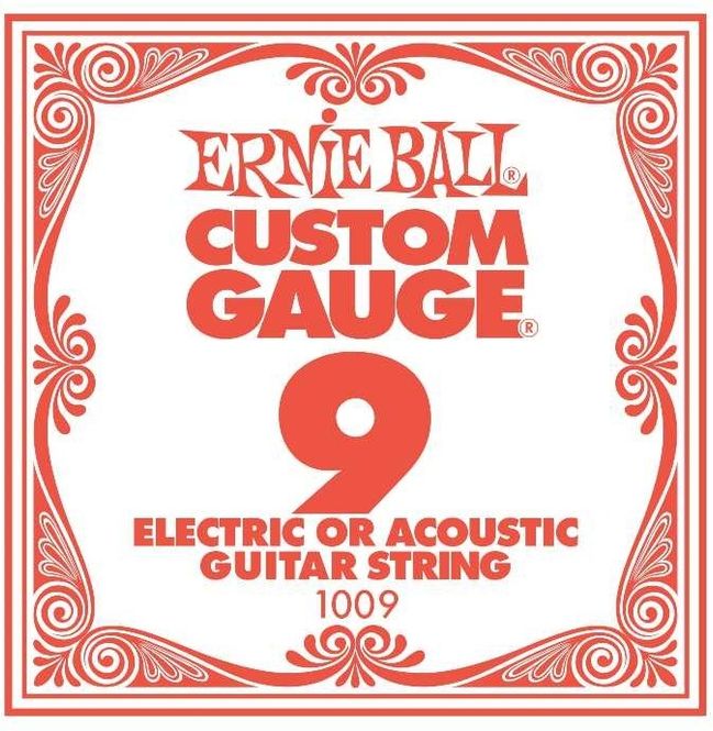 Hovedbilde Ernie Ball EB-1009